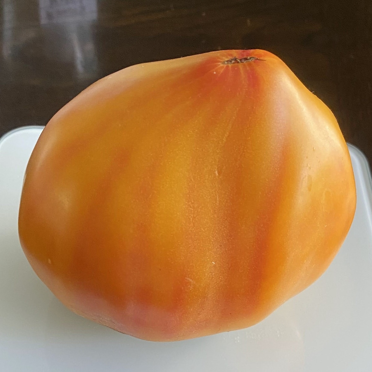 Golden Mountains Medeo