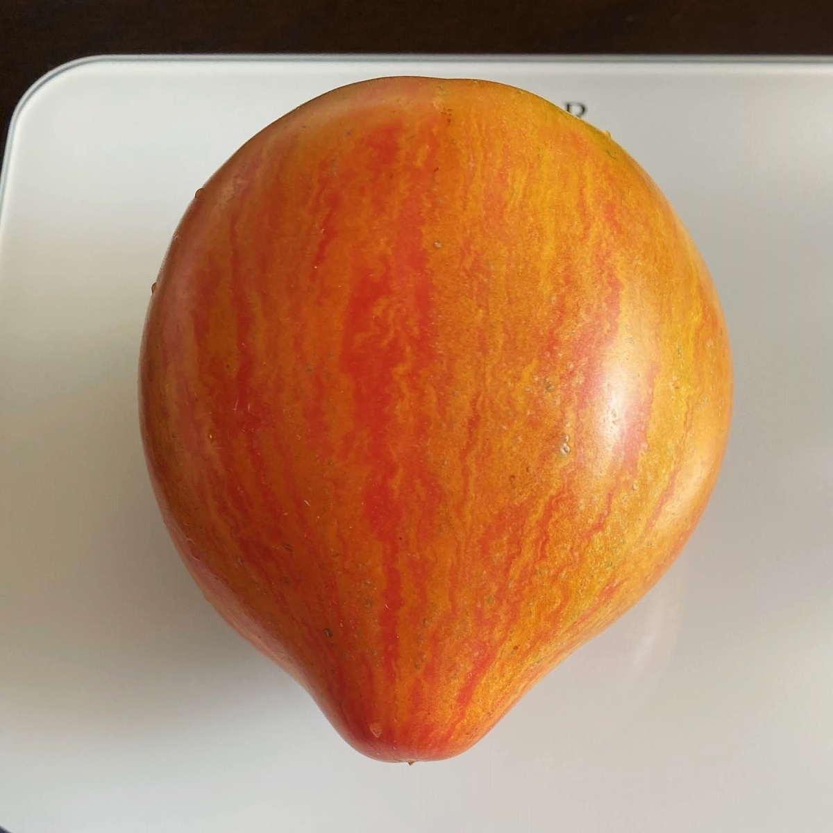 Sophia's Ginger Comet