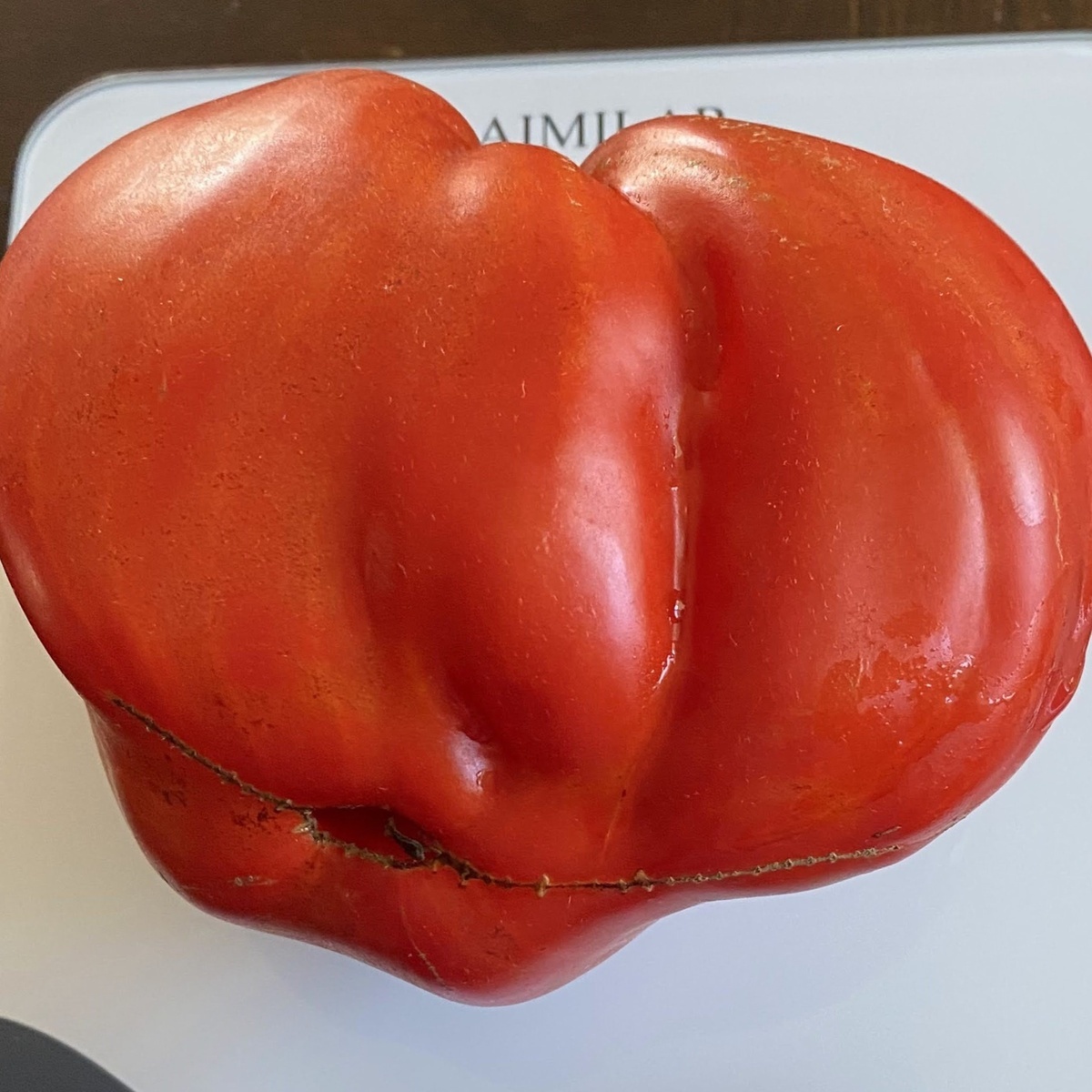 Ancient Heart of Aqui Terme (Cuore antico di Acqui Terme)