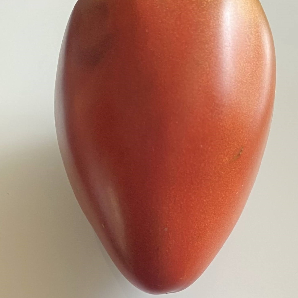 Black Heart of America